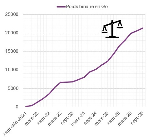 Logo 5 ans d'usage en poids